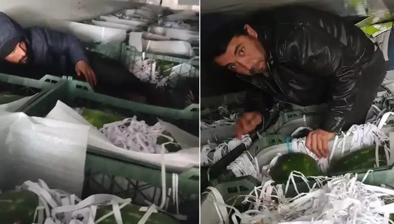 Karpuzların Arasından Göçmenler Çıktı: Sınırda Şok Edici Görüntüler