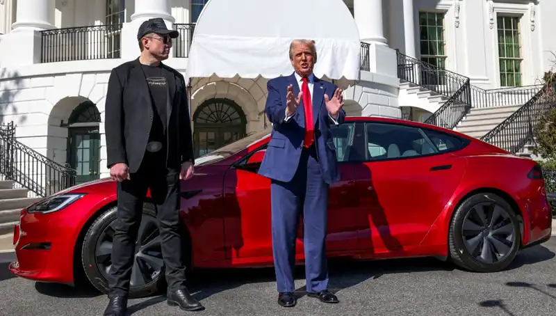 Tesla'ya Tıbbi Müdahale: 20 Yıl Hapis Cezası Şoku!