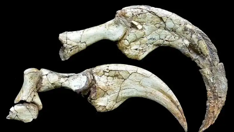 Gobi Çölü'nde Dinozor Efsanesi: İki Parmaklı Yeni Türün Keşfi