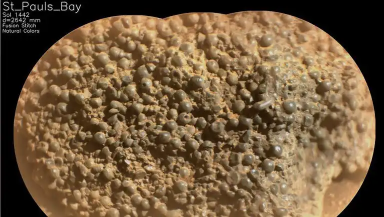 Mars'ta Keşfedilen Gizemli "Örümcek Yumurtaları": Bilim Dünyasını Heyecanlandırdı