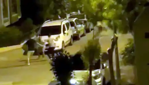 Avcılar'da Üç Kişinin Saldırısına Uğrayan Vatandaşı Cesur Kalabalık Kurtardı