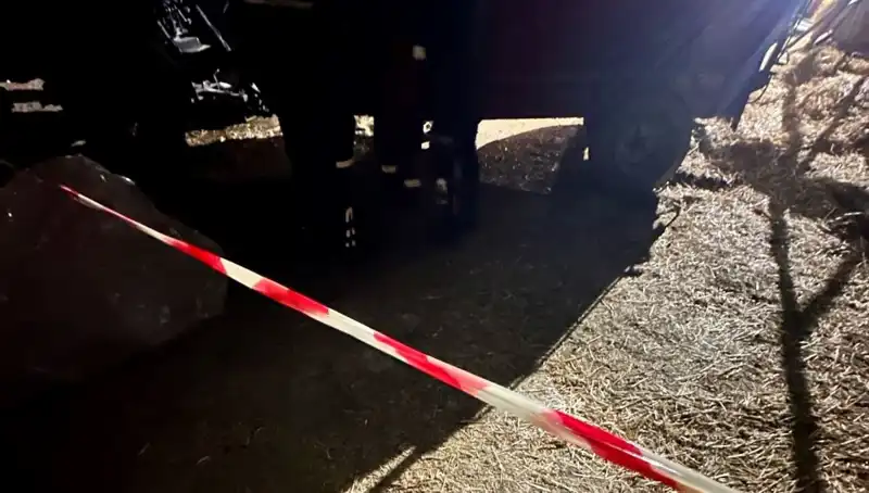 İzmir'de Yem Karma Makinesinde Yaşanan Trajik Olay: Ceset İade Süreci