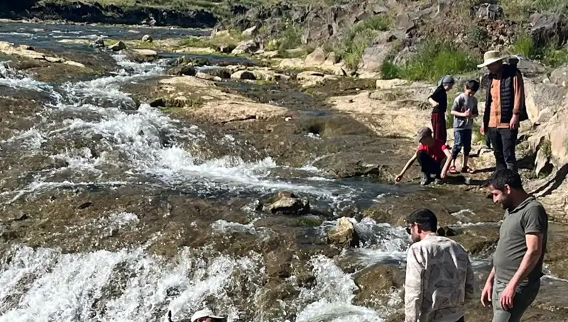 İnci Kefali Göçü: Doğanın Eşsiz Gösterisi İçin Turistler Akın Ediyor