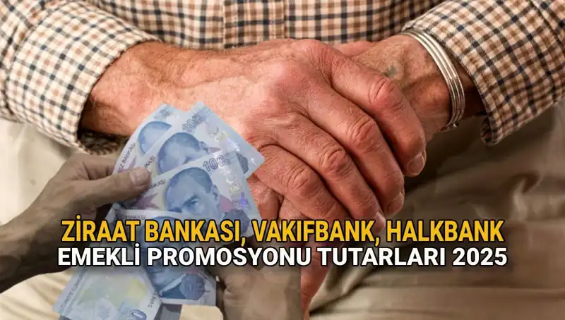 2025'te Emeklilere Özel Promosyon: Kamu Bankaları Ne Sunuyor?